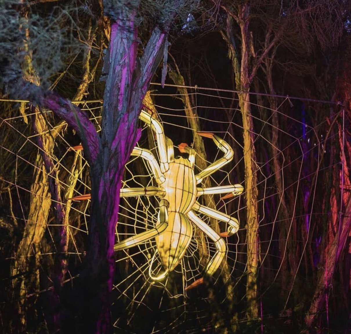 Lantern Gallery & Sculpture Collection Melbourne | The Lanternist
